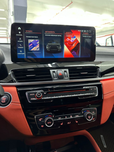 Штатная магнитола Radiola для BMW X1/X2 (F48/F39) 2018+ 12,3" EVO RDL-1509 L