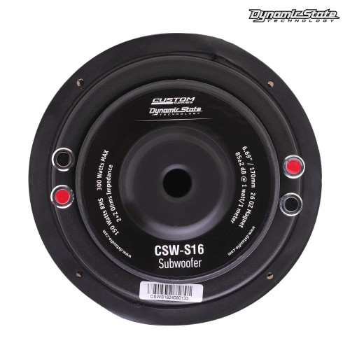 Пассивный сабвуфер Dynamic State CUSTOM CSW-S16 плоский 6,7 (170 mm, Min/RMS/max:100/150/300)