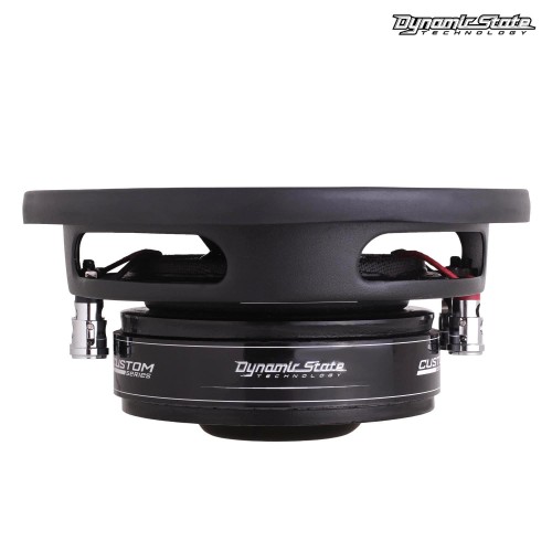 Пассивный сабвуфер Dynamic State CUSTOM CSW-S16 плоский 6,7 (170 mm, Min/RMS/max:100/150/300)