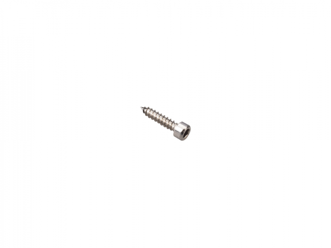 Саморез Aura WGS-316S серебро (1 шт)