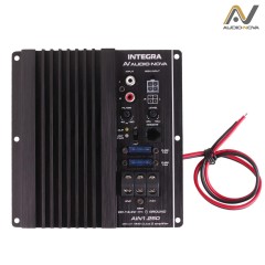 1-канальный усилитель AUDIO NOVA AiN1.250 (установка в корпус сабвуфера,D)