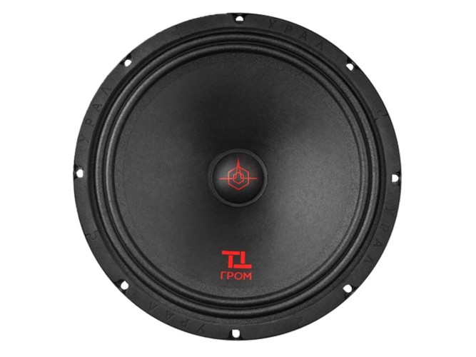УРАЛ (Ural) ТТ 250 ГРОМ среднечастотная акустика 10" (25см) (пара)