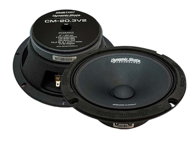 Dynamic State Custom Series CM-20.3v2 мидбас 8" (20см) (пара)