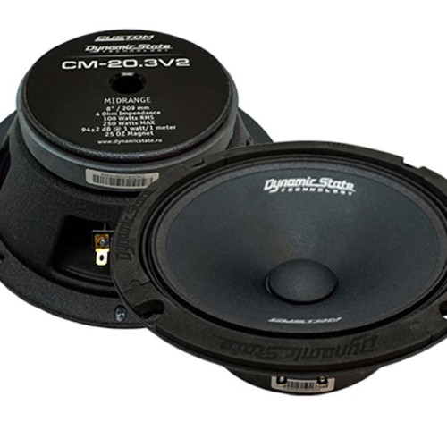 Dynamic State Custom Series CM-20.3v2 мидбас 8&quot; (20см) (пара)