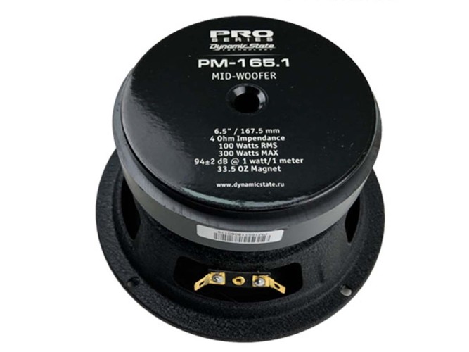 Dynamic State Pro Series PM-165.1 мидбас 6,5" (16,5см) (1шт)