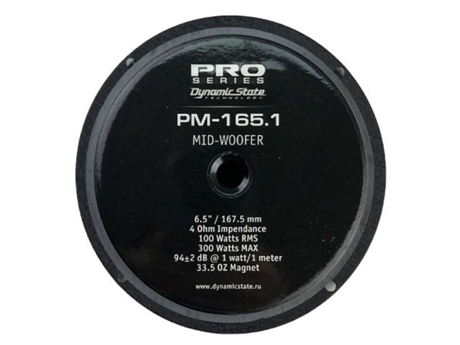Dynamic State Pro Series PM-165.1 мидбас 6,5" (16,5см) (1шт)