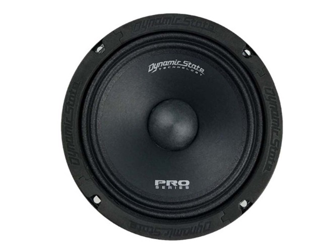 Dynamic State Pro Series PM-165.1 мидбас 6,5" (16,5см) (1шт)